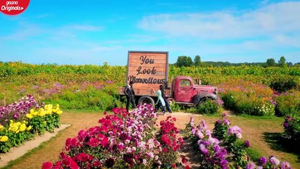 Jatta Ve (Official Video) Mankirt Aulakh  Kamal Khangura  Latest Punjabi Songs 2019