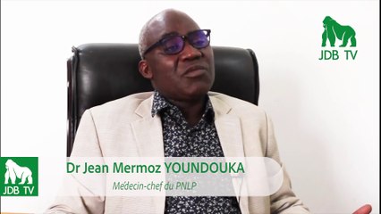 Dr Jean Mermoz Youndouka, medecin chef du PNLP : "Les moustiquaires imprégnées ne sont pas toxiques"