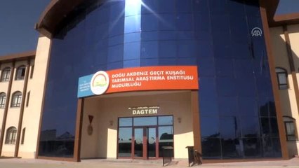Köy köy gezip üzüm çeşitlerini korumaya aldılar