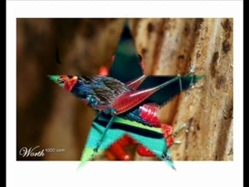 Dans la vie on rencontre parfois de drôles d'éspèces!