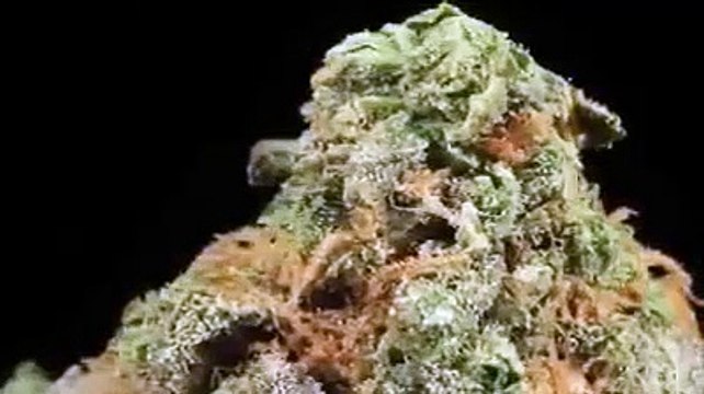 How CBD Oil and Seizures - Hemp Oil Benefits