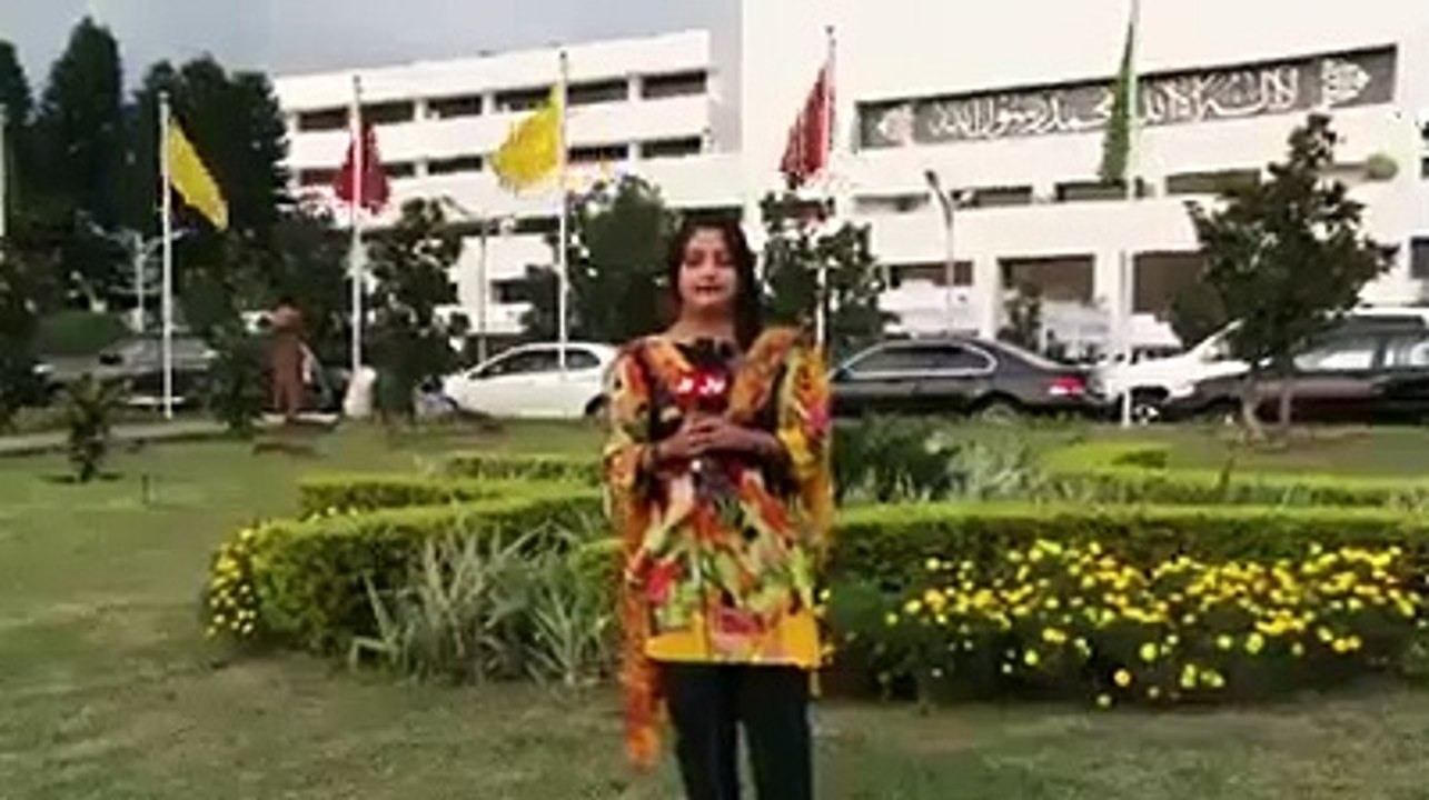 Mosquito attack on News reporter