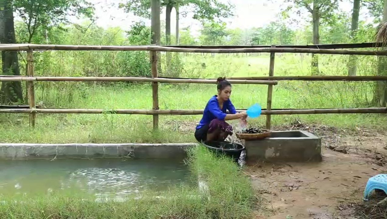 Cooking snail recipe in my village