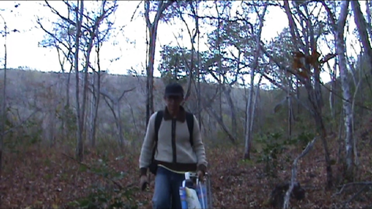 Tinguis 2 : uma jornada investigativa