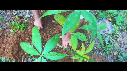 Prêmio Biguá | Produtor Rural