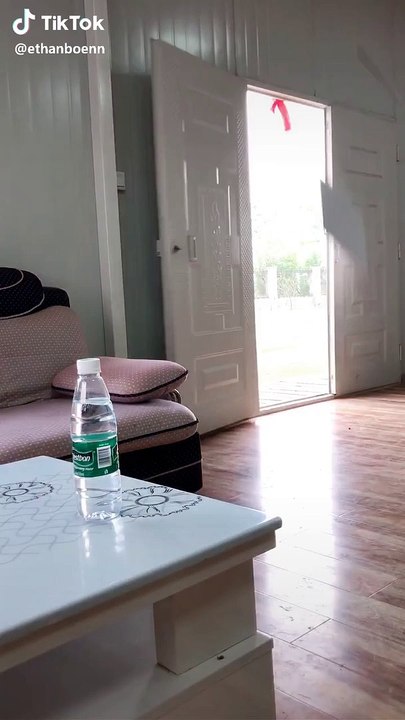 Un chien rapporte une bouteille d'eau