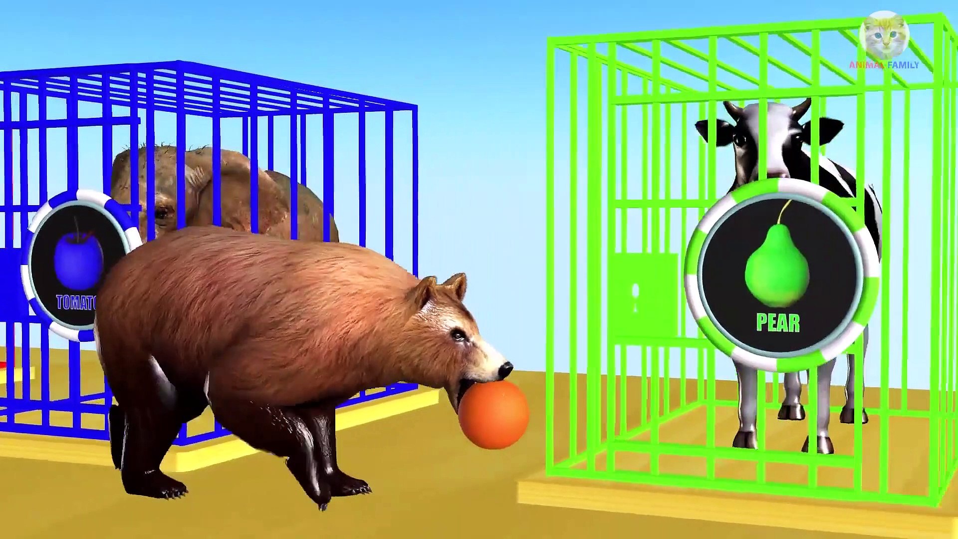 Wrong Fruits Colors Drop on Road for Animals and Cages Cartoon for Children  - video Dailymotion