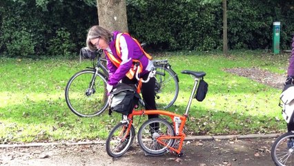 GOODLINES: 3rd October 2019