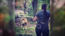 Çmenduri në kopshtin zoologjik, gruaja kalon gardhin e sigurisë dhe i del përpara luanit