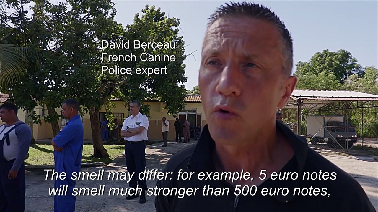 France trains Cuban dogs in the art of sniffing cash