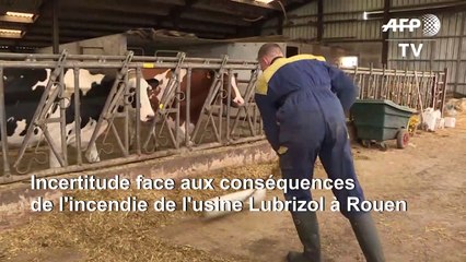 Incendie Lubrizol: dans l'Aisne, l'inquiétude d'un éleveur touché par la pollution