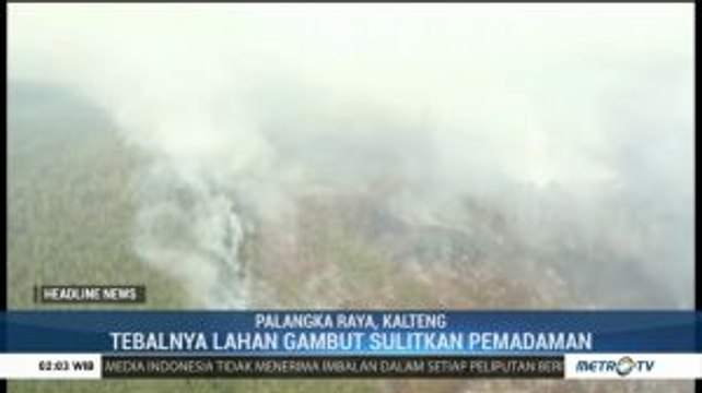 Hutan Taman Nasional Sebangau Terbakar