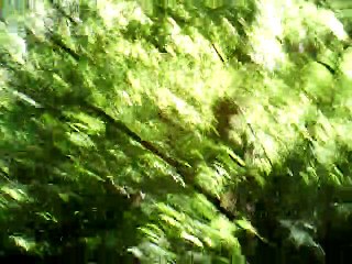 Sliczny Chlopiec instrumental