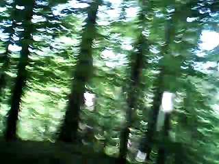 Sliczny Chlopiec melody