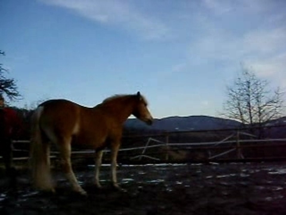 Hanches en aspiration