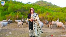 Musafari di deera okra da mazdoori di deera okra Pashto new song 2019