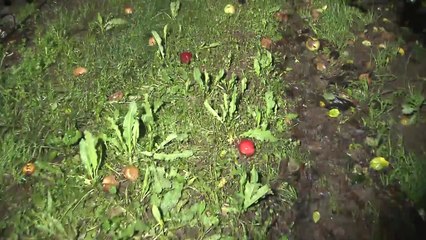 "또 태풍! 복구도 못 했는데...." / YTN