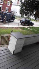 Police Officers Arrest Bystander Recording Raid