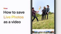 How to save Live Photos as a video on your iPhone, iPad, or iPod touch – Apple Support