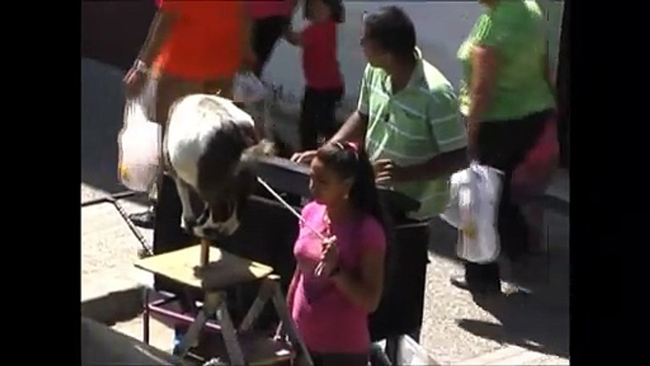 LA CABRA