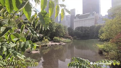 A record-high October day in Central Park
