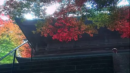 【颜（2009）】_纪念松本清张诞辰100周年 - PART2