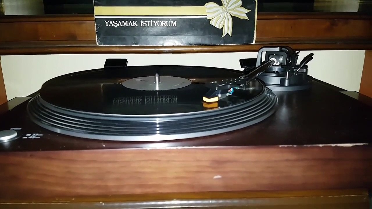 Bülent Ersoy - Yaranamadım  (Plak kayıt)