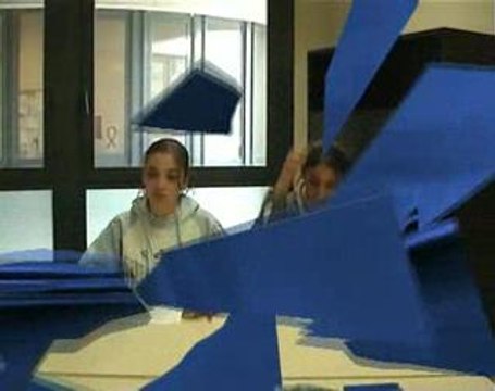 Les effets de l'abus d'alcool - 2 (2005)