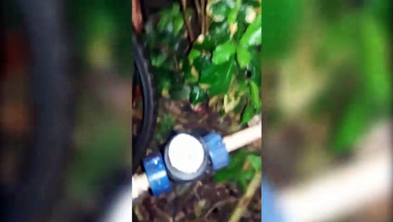 Internauta reclama que não sai água da torneira mas relógio fica girando