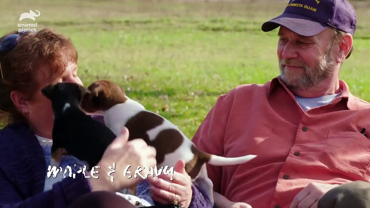 Amanda to the Rescue: Where are they Now?