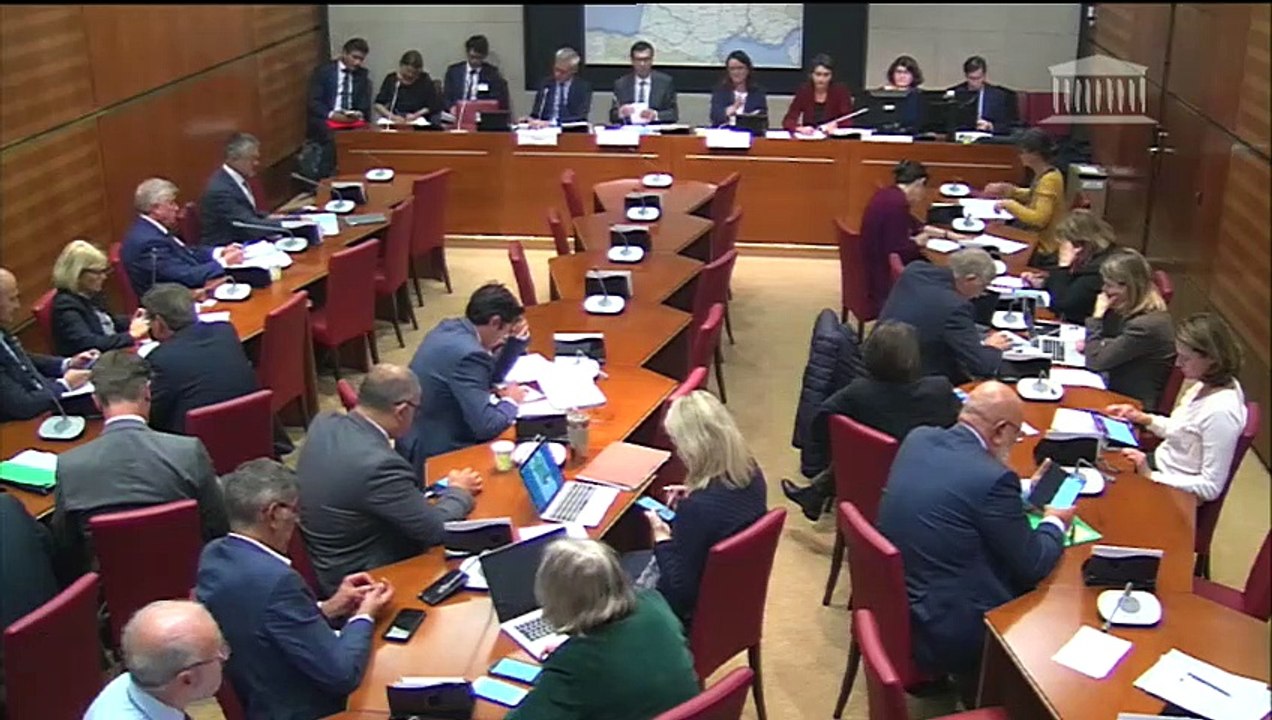 Commission du développement durable : M. Jean-Pierre Farandou, proposé aux fonctions de président du directoire de la SNCF - Mercredi 2 octobre 2019