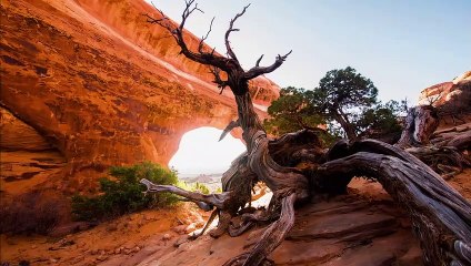 Skye Mountain Co: Utah Hats