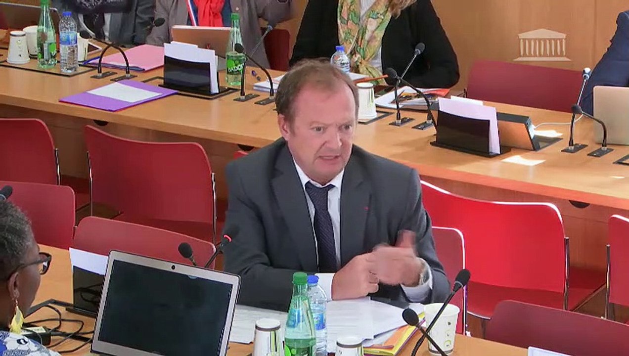 Commission des lois : Violences faites aux femmes (suite) ; Violences au sein des couples et incidences de ces dernières sur les enfants - Mercredi 2 octobre 2019