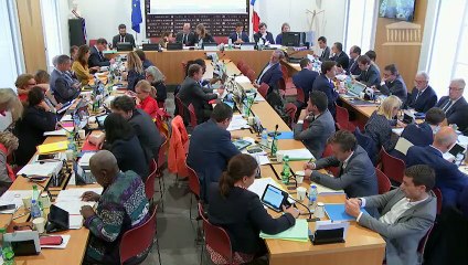 Commission des lois : Violences faites aux femmes - Mercredi 2 octobre 2019