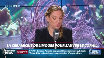 Objectif Terre : La céramique de Limoges pour sauver le corail - 03/10