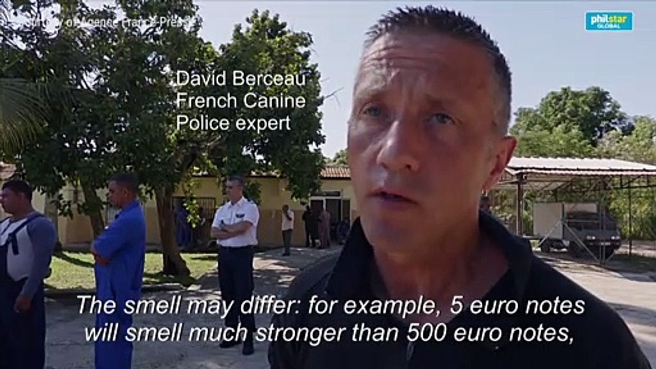 France trains Cuban dogs in the art of sniffing cash