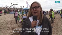 US: Surfing dog contest leaves humans 'absolutely speechless'