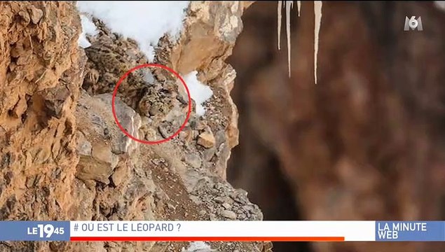 Découvrez l'histoire de cette cantatrice devenue SDF, qui chante désormais dans le métro, et qui émeut les internautes du monde entier