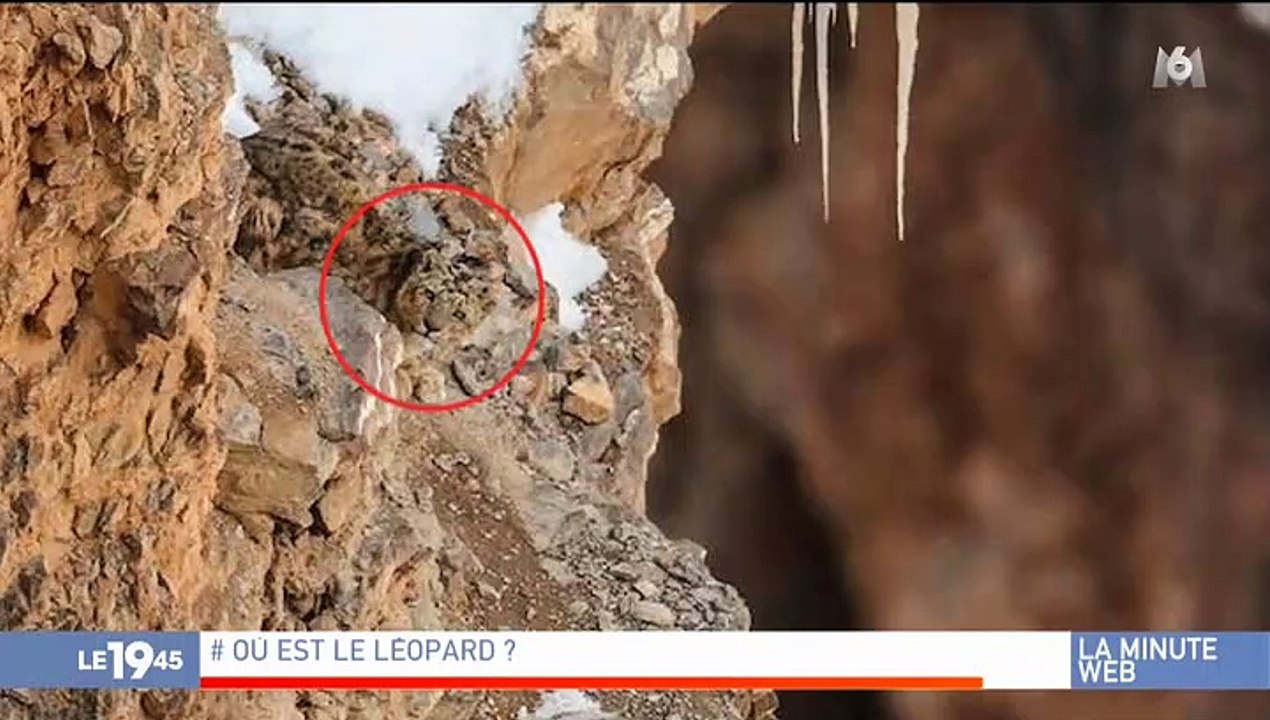 Découvrez l'histoire de cette cantatrice devenue SDF, qui chante désormais dans le métro, et qui émeut les internautes du monde entier