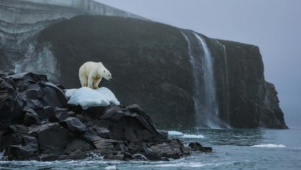 Buzullar eridi, 5 yeni ada ortaya çıktı!