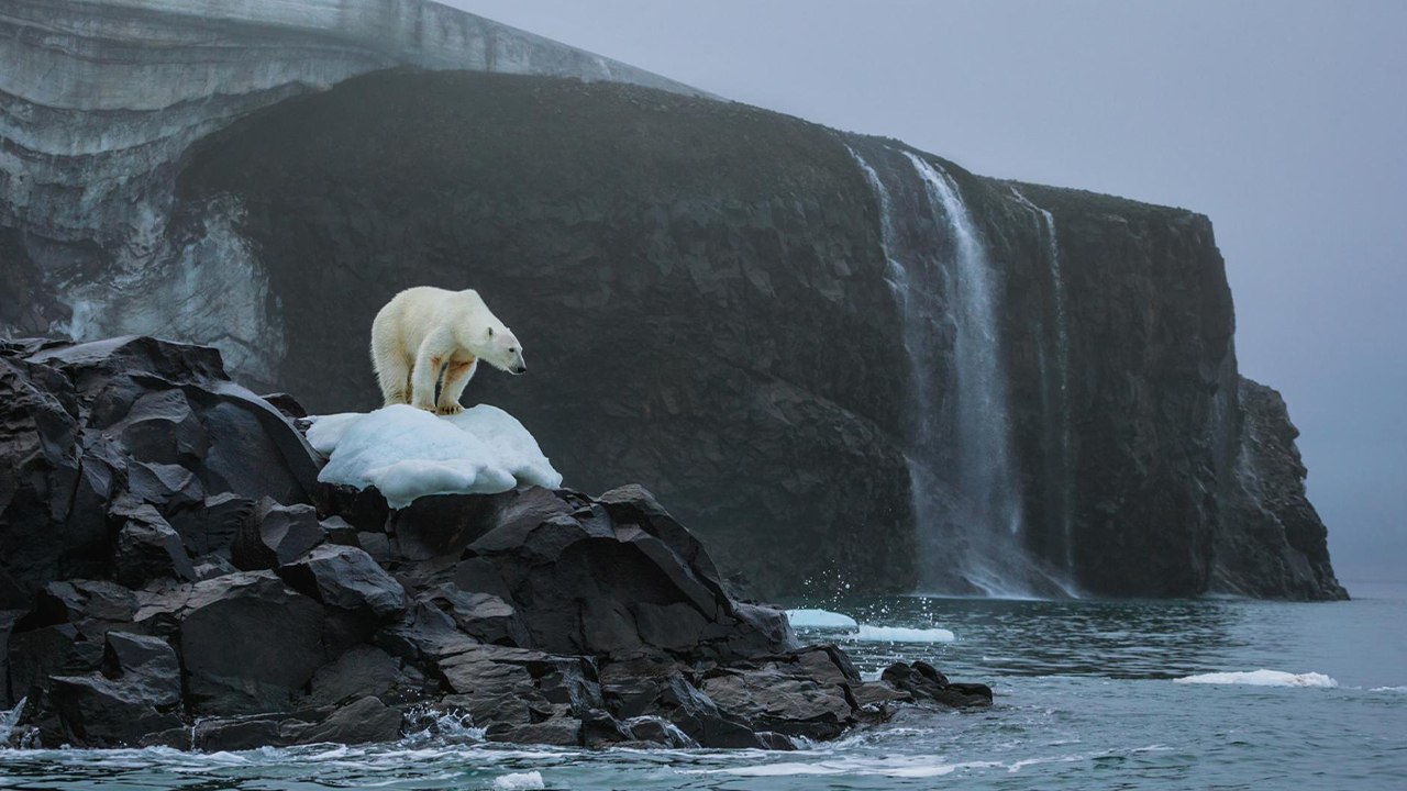 Buzullar eridi, 5 yeni ada ortaya çıktı!