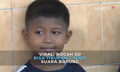 Viral! Bocah SD Bisa Tirukan 7 Jenis Suara Burung