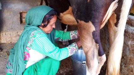 Border Women befitting reply to Pakistan