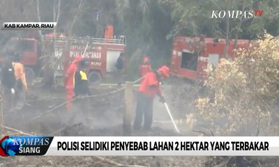Polisi Selidiki Penyebab Lahan 2 Hektar yang Terbakar