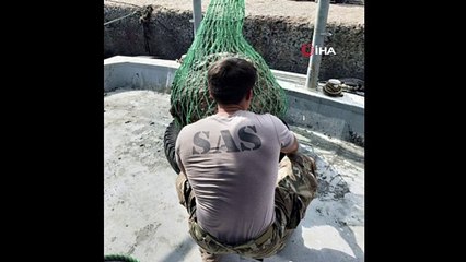 Riva’da balıkçıların bulduğu mayın SAS timi tarafından imha edildi