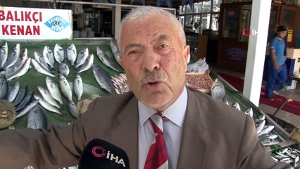 Türkiye kıyılarında ‘İstilacı Balon Balığı’ tehlikesi