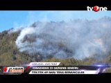 Titik Api Baru Terus Bermunculan di Gunung Semeru