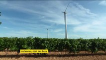 Éoliennes : une électricité qui devient compétitive