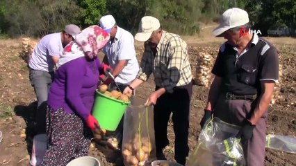 Bilinçli yapılan tarım kazandırıyor
