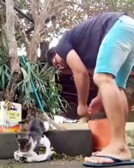 Ce chat têtu refuse de quitter la poubelle et finit par tout éparpiller